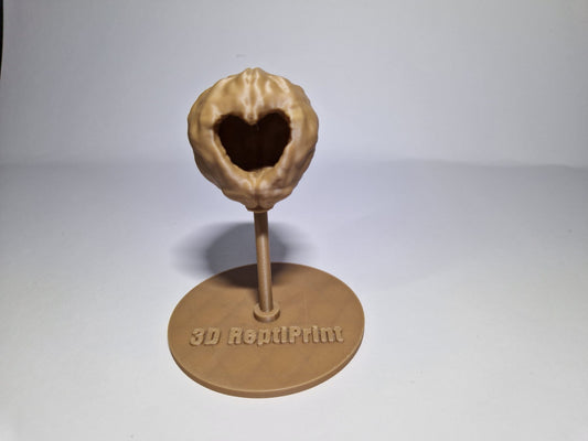 Wallnuss an Standfuß 90086-251-FM