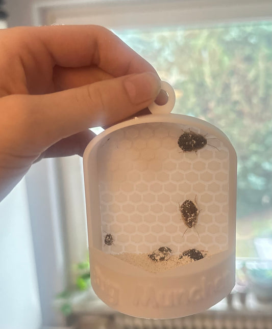 Bug Feeder M / 60003-241-NJD