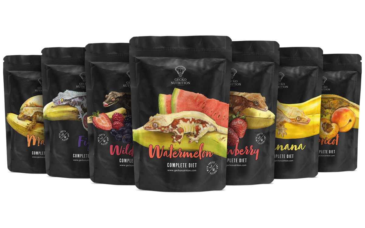 Gecko Nutrition Testpaket