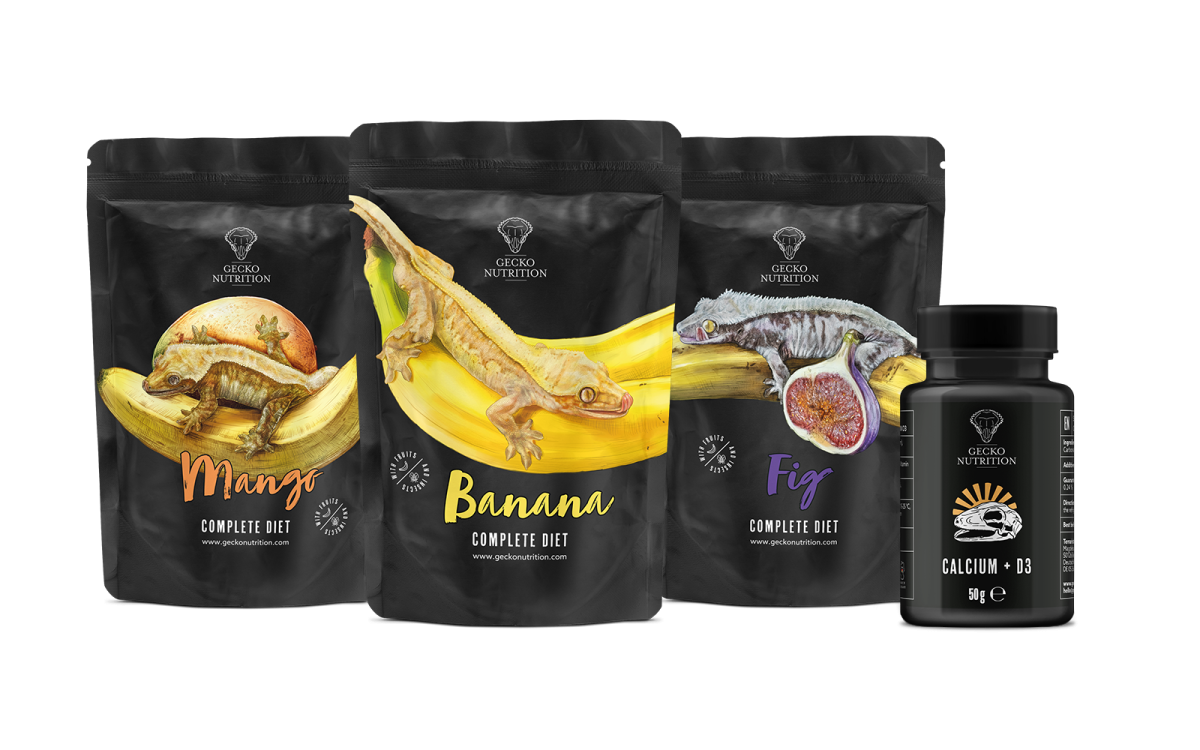 Gecko Nutrition Starter Set