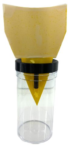 Rebie Buckelfliegen und Drosophila Klebefalle