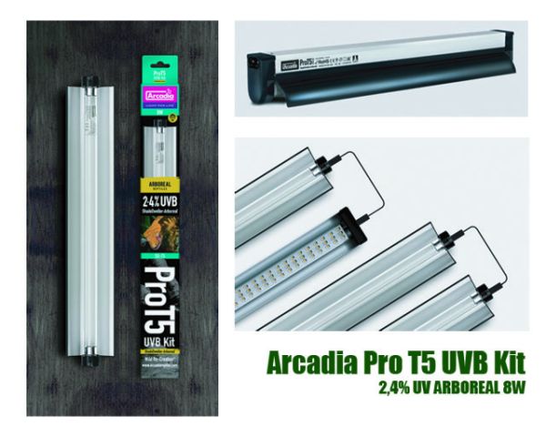 Arcadia Pro T5 Kit UVB 2,4% UVA 12% ARBOREAL 8W