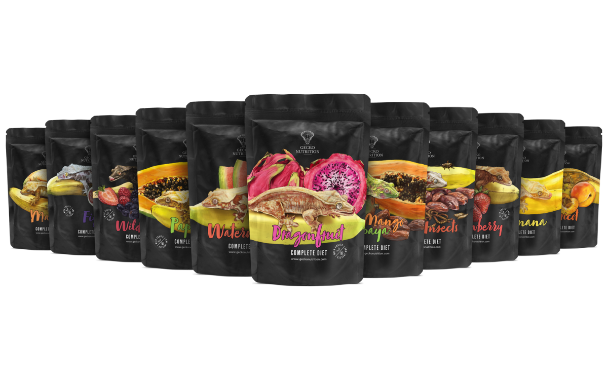 Gecko Nutrition Komplettpaket