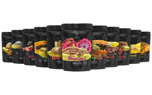 Gecko Nutrition Komplettpaket