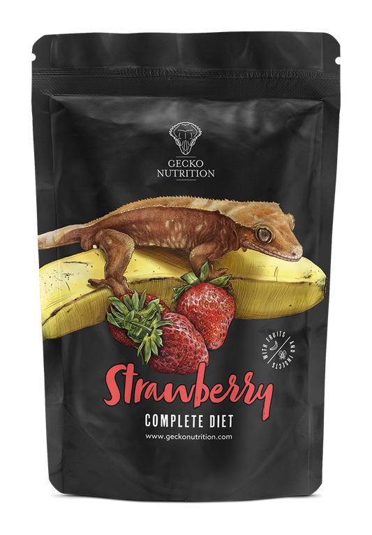 Gecko Nutrition Erdbeere