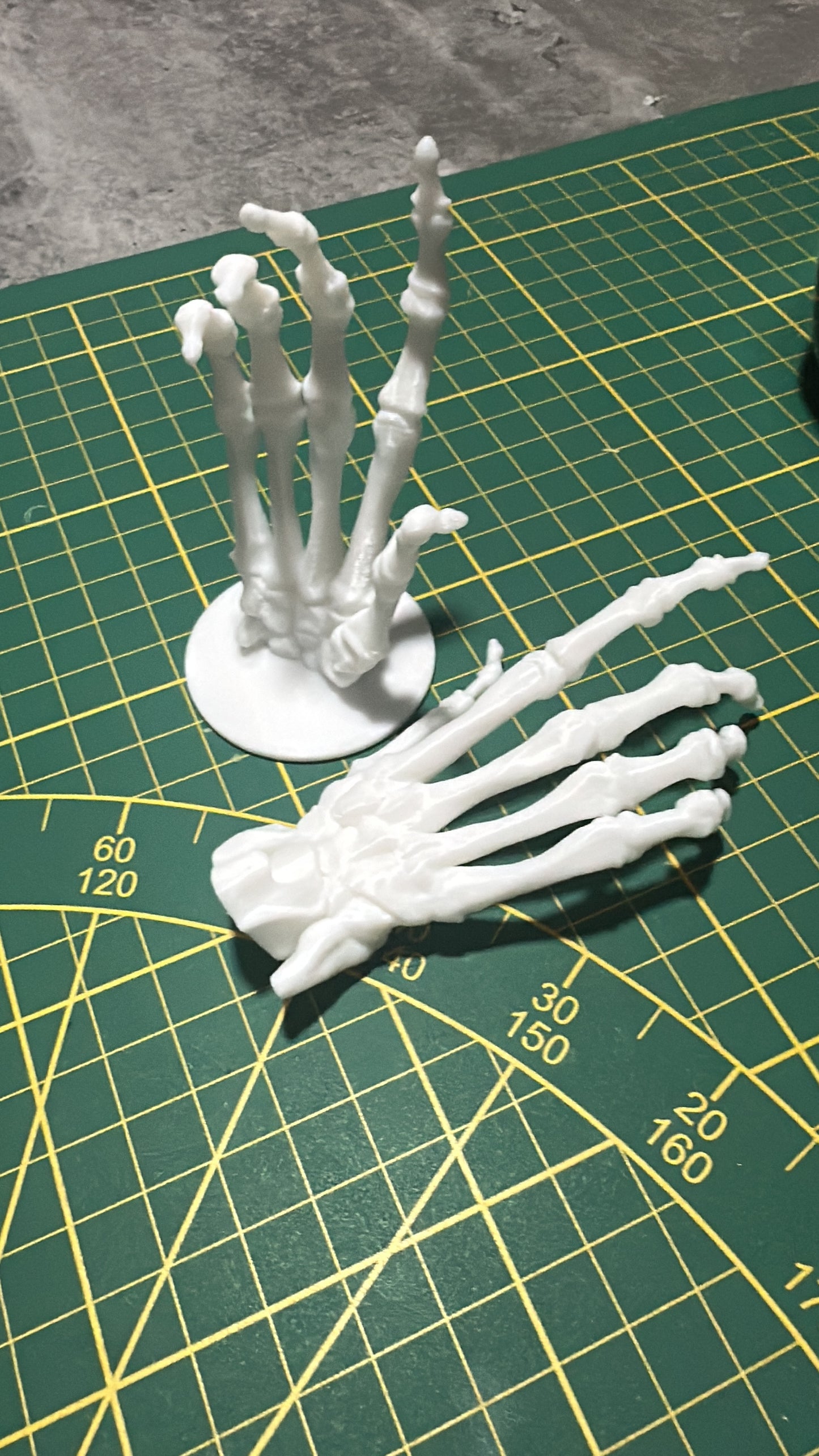 Bone Hand