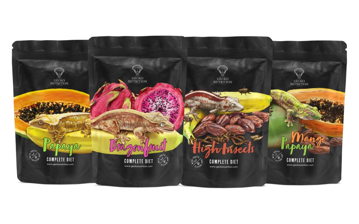 Gecko Nutrition Newcomer Set