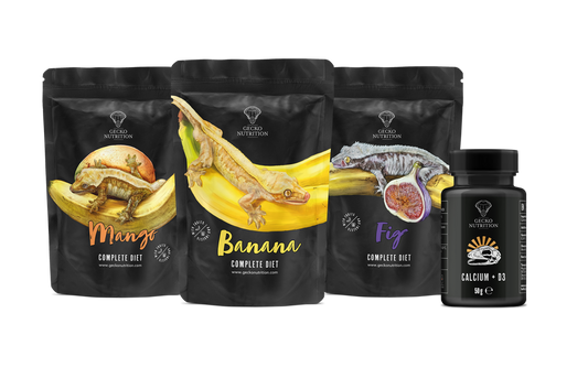 Gecko Nutrition Starter Set