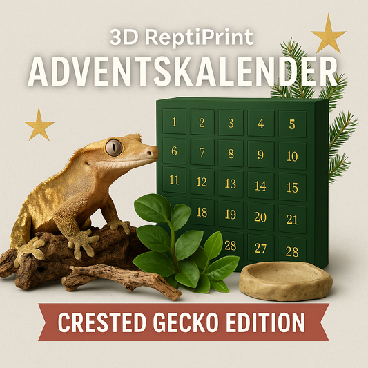 🎄 3D ReptiPrint Adventskalender 2025 - Kronengecko Edition🎄