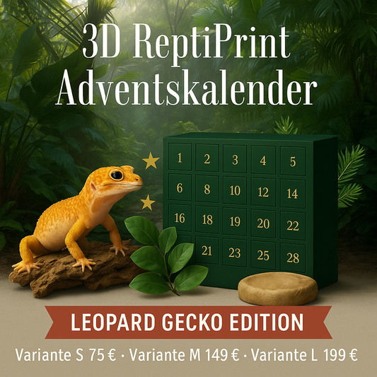 🦎 3D ReptiPrint Adventskalender 2025 – Leopardgecko Edition