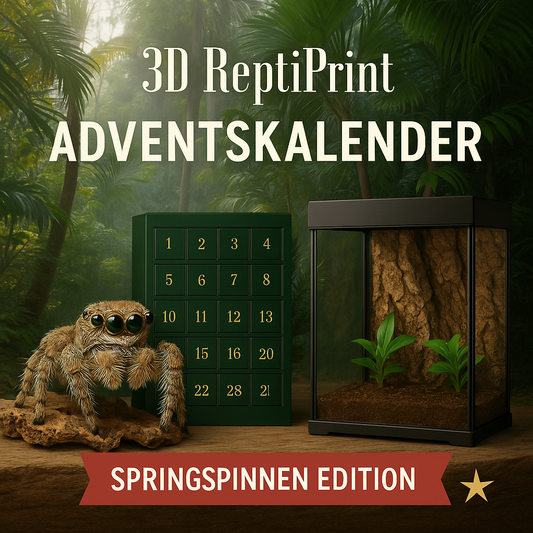 🕷️ 3D ReptiPrint Adventskalender 2025 – Springspinnen Edition