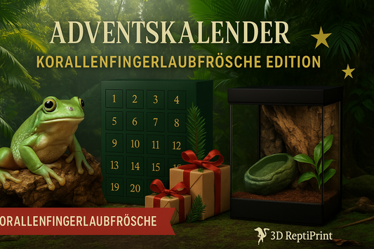 🐸 3D ReptiPrint Adventskalender 2025 – Korallenfingerlaubfrösche Edition
