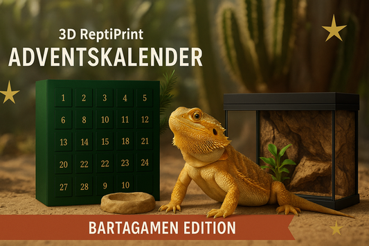 🦎 3D ReptiPrint Adventskalender 2025 – Bartagamen Edition