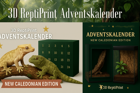 🦎 3D ReptiPrint Adventskalender 2025 – Neukaledonien Edition