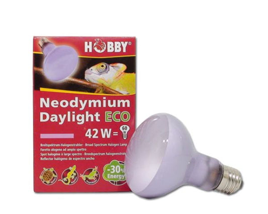 Neodymium Daylight ECO 42W HOBBY