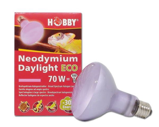Neodymium Daylight ECO 70 W HOBBY